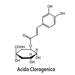 Acido Clorogenico
